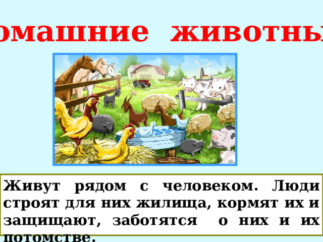 Домашние животные Живут рядом с человеком. Люди строят для них жилища, кормят их и защищают, заботятся о них и их потомстве. 