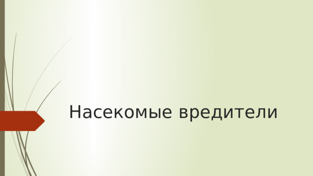 Насекомые вредители 