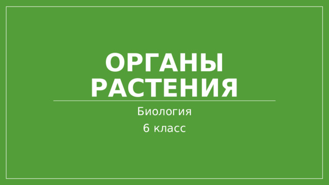 Органы растения Биология 6 класс 