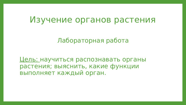 Изучение органов растения Лабораторная работа Цель: научиться распознавать органы растения; выяснить, какие функции выполняет каждый орган. 
