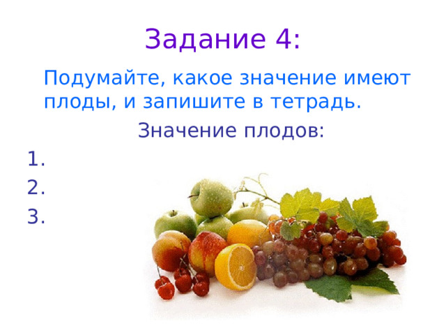Задание 4:  Подумайте, какое значение имеют плоды, и запишите в тетрадь.  Значение плодов: 1. 2. 3. 