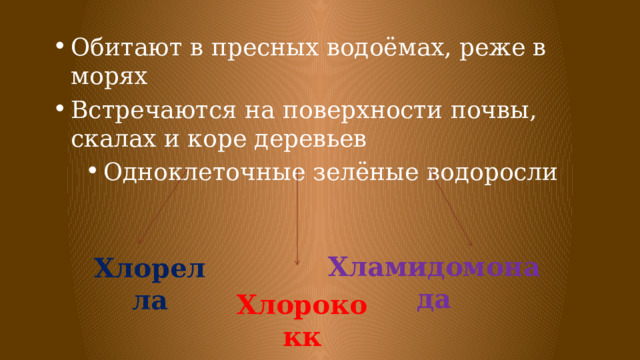 Обитают в пресных водоёмах, реже в морях Встречаются на поверхности почвы, скалах и коре деревьев Одноклеточные зелёные водоросли Хламидомонада Хлорелла Хлорококк 
