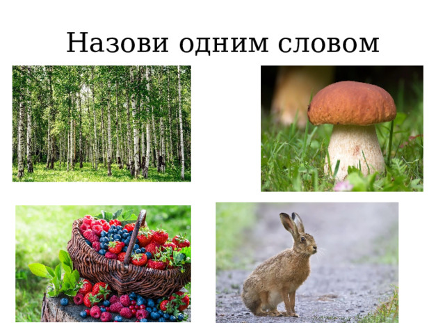 Назови одним словом 
