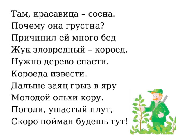Там, красавица – сосна. Почему она грустна? Причинил ей много бед Жук зловредный – короед. Нужно дерево спасти. Короеда извести. Дальше заяц грыз в яру Молодой ольхи кору. Погоди, ушастый плут, Скоро пойман будешь тут! 