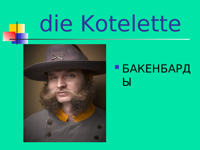 die Kotelette БАКЕНБАРДЫ 