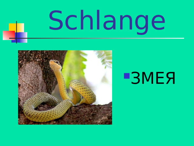die Schlange ЗМЕЯ 