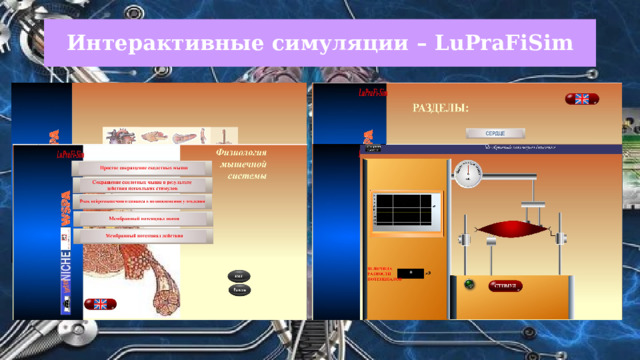 Интерактивные симуляции – LuPraFiSim 