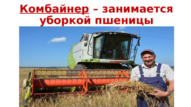 Комбайнер – занимается уборкой пшеницы 