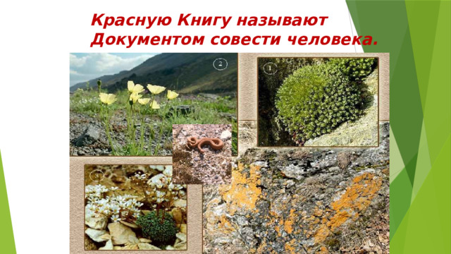 Красную Книгу называют Документом совести человека. 