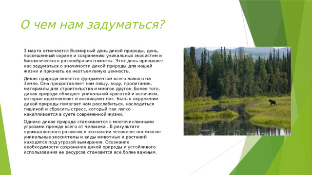 О чем нам задуматься? 3 марта отмечается Всемирный день дикой природы, день, посвященный охране и сохранению уникальных экосистем и биологического разнообразия планеты. Этот день призывает нас задуматься о значимости дикой природы для нашей жизни и признать ее неотъемлемую ценность. Дикая природа является фундаментом всего живого на Земле. Она предоставляет нам пищу, воду, пропитание, материалы для строительства и многое другое. Более того, дикая природа обладает уникальной красотой и величием, которые вдохновляют и восхищают нас. Быть в окружении дикой природы помогает нам расслабиться, насладиться тишиной и сбросить стресс, который так легко накапливается в суете современной жизни. Однако дикая природа сталкивается с многочисленными угрозами прежде всего от человека . В результате промышленного развития и экспансии человечества многие уникальные экосистемы и виды животных и растений находятся под угрозой вымирания. Осознание необходимости сохранения дикой природы и устойчивого использования ее ресурсов становится все более важным. 