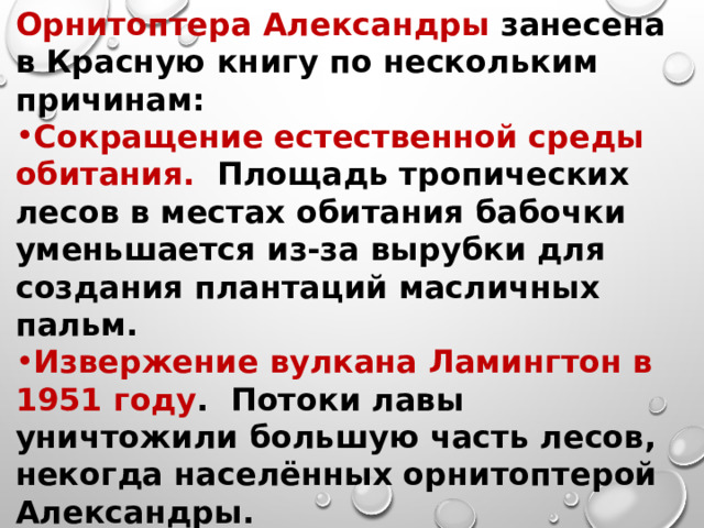 Орнитоптера Александры занесена в Красную книгу по нескольким причинам:  Сокращение естественной среды обитания.   Площадь тропических лесов в местах обитания бабочки уменьшается из-за вырубки для создания плантаций масличных пальм.  Извержение вулкана Ламингтон в 1951 году .  Потоки лавы уничтожили большую часть лесов, некогда населённых орнитоптерой Александры.  Браконьерство.   1  Из-за своей редкости бабочка высоко ценится коллекционерами и продаётся по высокой цене на чёрном рынке 