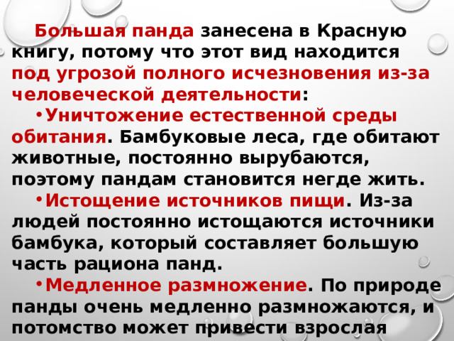 Большая панда занесена в Красную книгу, потому что этот вид находится под угрозой полного исчезновения из-за человеческой деятельности :  Уничтожение естественной среды обитания . Бамбуковые леса, где обитают животные, постоянно вырубаются, поэтому пандам становится негде жить.  Истощение источников пищи . Из-за людей постоянно истощаются источники бамбука, который составляет большую часть рациона панд.  Медленное размножение . По природе панды очень медленно размножаются, и потомство может привести взрослая панда в возрасте пяти лет, и обычно это один малыш. А ввиду первой причины не все доживают до этого возраста.  