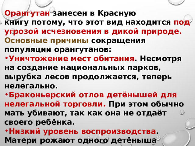 Орангутан занесен в Красную книгу потому, что этот вид находится под угрозой исчезновения в дикой природе.  Основные причины сокращения популяции орангутанов: Уничтожение мест обитания . Несмотря на создание национальных парков, вырубка лесов продолжается, теперь нелегально.  Браконьерский отлов детёнышей для нелегальной торговли. При этом обычно мать убивают, так как она не отдаёт своего ребёнка.  Низкий уровень воспроизводства . Матери рожают одного детёныша каждые 3–5 лет. Когда популяция орангутанов сокращается, их численности очень трудно увеличиться. 