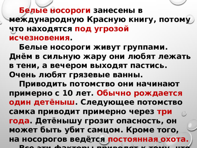 Белые носороги занесены в международную Красную книгу, потому что находятся под угрозой исчезновения . Белые носороги живут группами. Днём в сильную жару они любят лежать в тени, а вечером выходят пастись. Очень любят грязевые ванны. Приводить потомство они начинают примерно с 10 лет. Обычно рождается один детёныш . Следующее потомство самка приводит примерно через три года . Детёнышу грозит опасность, он может быть убит самцом. Кроме того, на носорогов ведётся постоянная охота. Все эти факторы приводят к тому, что белые носороги находятся на грани исчезновения. Именно поэтому их надо охранять. 