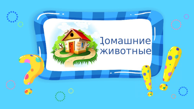 Домашние  животные 
