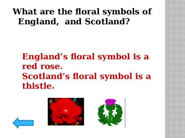 What are the floral symbols of England, and Scotland? England’s floral symbol is a red rose. Scotland’s floral symbol is a thistle. 
