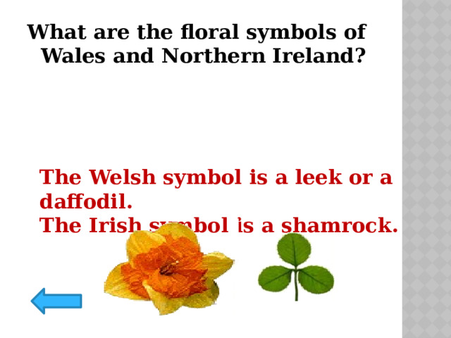 What are the floral symbols of Wales and Northern Ireland? The Welsh symbol is a leek or a daffodil. The Irish symbol is a shamrock. 