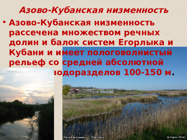 Азово-Кубанская низменность Азово-Кубанская низменность рассечена множеством речных долин и балок систем Егорлыка и Кубани и имеет пологоволнистый рельеф со средней абсолютной высотой водоразделов 100-150 м . 