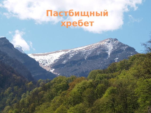 Пастбищный хребет 