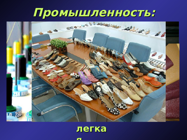 Промышленность: легкая  