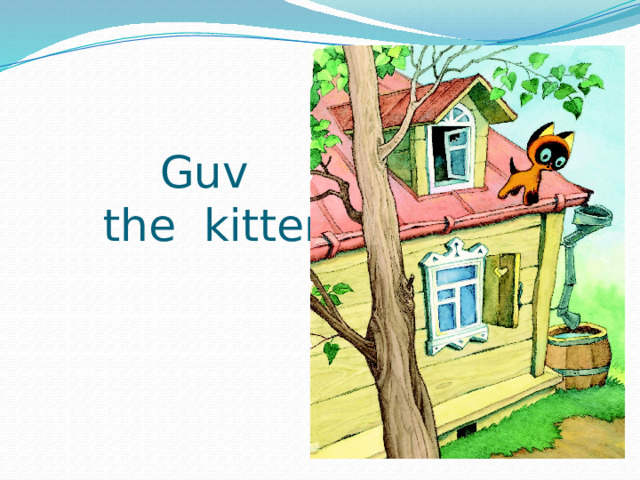 Guv  the kitten 