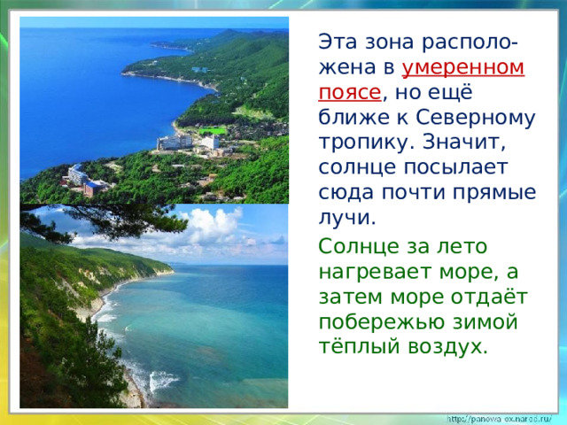  Эта зона располо-жена в умеренном поясе , но ещё ближе к Северному тропику. Значит, солнце посылает сюда почти прямые лучи.  Солнце за лето нагревает море, а затем море отдаёт побережью зимой тёплый воздух. 