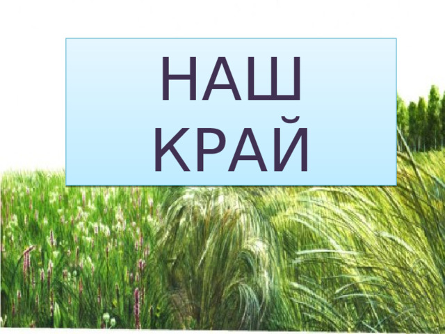 НАШ КРАЙ 