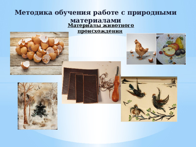 Методика обучения работе с природными материалами Материалы животного происхождения   