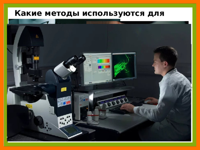 Какие методы используются для изучения клетки? 