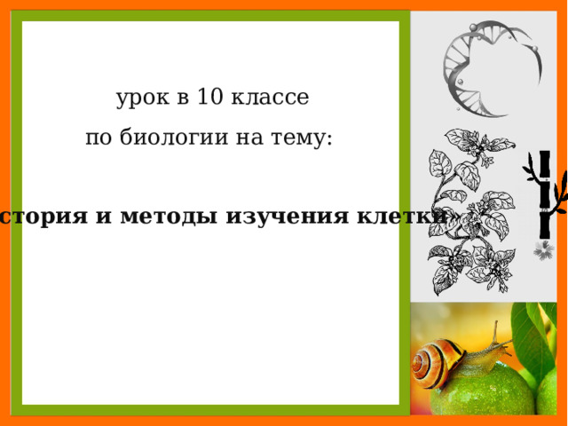урок в 10 классе по биологии на тему: «История и методы изучения клетки» 