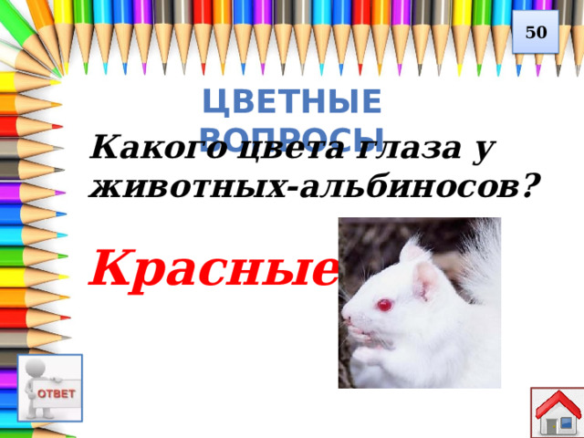 50 Цветные вопросы Какого цвета глаза у животных-альбиносов? Красные 