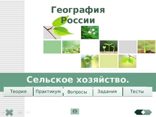 География России Земледелие Сельское хозяйство. Земледелие. Теория Вопросы  Задания Тесты Практикум 