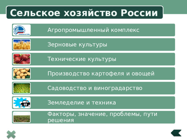 Сельское хозяйство России Агропромышленный комплекс Зерновые культуры  Title in here Технические культуры Производство картофеля и овощей Садоводство и виноградарство  Title in here  Title in here Земледелие и техника Факторы, значение, проблемы, пути решения 