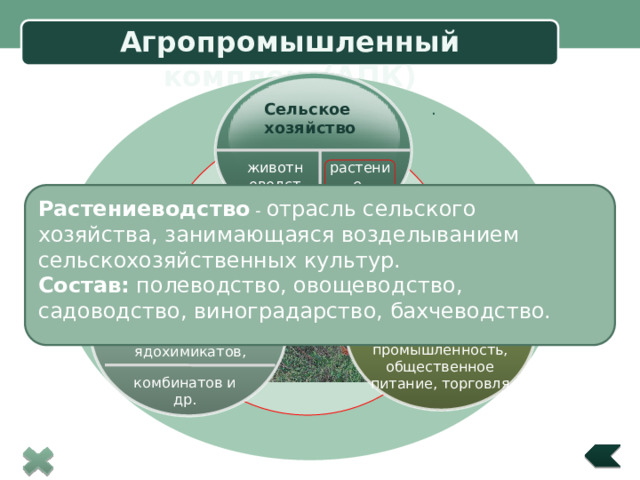 Агропромышленный комплекс(АПК) . Сельское хозяйство  Title in here растение- животноводство водство Растениеводство - отрасль сельского хозяйства, занимающаяся возделыванием сельскохозяйственных культур. Состав: полеводство, овощеводство, садоводство, виноградарство, бахчеводство. Агропромышленный комплекс – совокупность взаимосвязанных отраслей хозяйства, участвующих в производстве, переработке сельскохозяйственной продукции и доведения ее до потребителя Заготовка, переработка и реализация продуктов Производство машин,  Title in here  Title in here оборудования, удобрений и ядохимикатов, Легкая и пищевая промышленность, общественное питание, торговля комбинатов и др. 