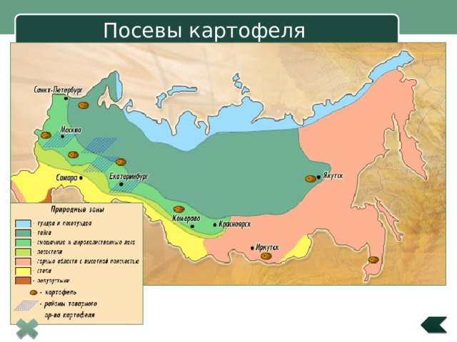 Посевы картофеля 