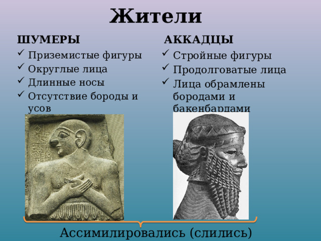 Жители ШУМЕРЫ АККАДЦЫ Приземистые фигуры Округлые лица Длинные носы Отсутствие бороды и усов Стройные фигуры Продолговатые лица Лица обрамлены бородами и бакенбардами Ассимилировались (слились) 