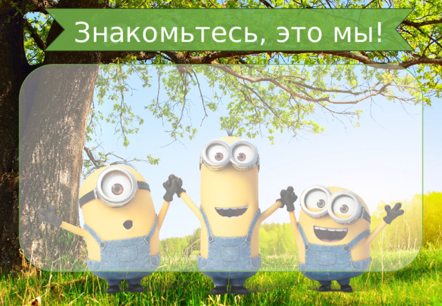 Знакомьтесь, это мы!  