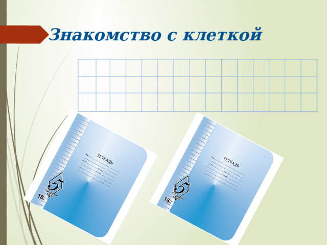Знакомство с клеткой 