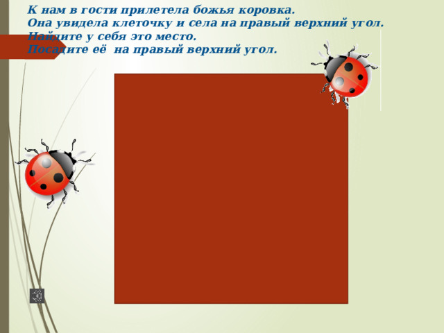 К нам в гости прилетела божья коровка.  Она увидела клеточку и села на правый верхний угол.  Найдите у себя это место.  Посадите её на правый верхний угол. 