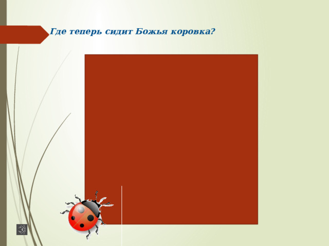 Где теперь сидит Божья коровка? 