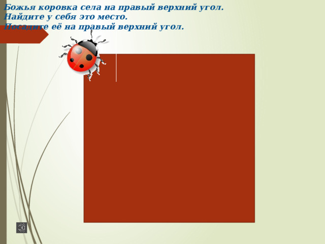 Божья коровка села на правый верхний угол.  Найдите у себя это место.  Посадите её на правый верхний угол. 