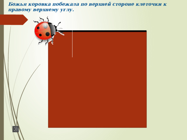 Божья коровка побежала по верхней стороне клеточки к правому верхнему углу. 