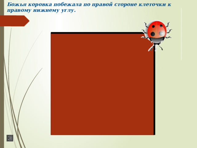 Божья коровка побежала по правой стороне клеточки к правому нижнему углу. 
