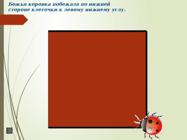 Божья коровка побежала по нижней стороне клеточки к левому нижнему углу. 