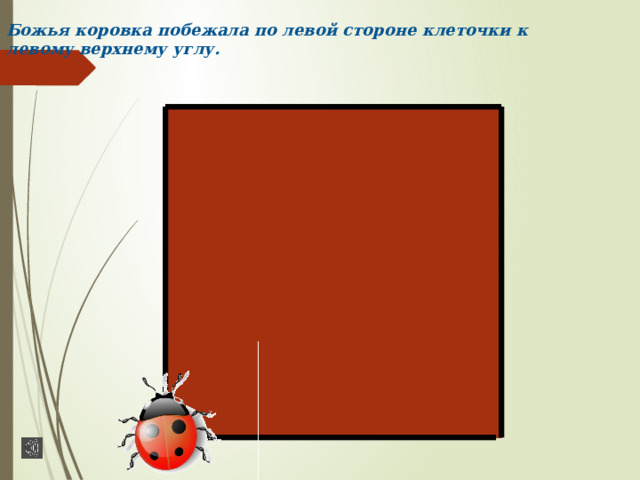 Божья коровка побежала по левой стороне клеточки к левому верхнему углу. 