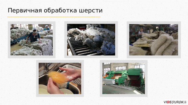 Первичная обработка шерсти 