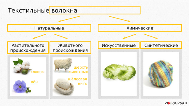 Текстильные волокна Натуральные Химические Искусственные Синтетические Животного происхождения Растительного происхождения шерсть животных хлопок шёлковая нить лён 