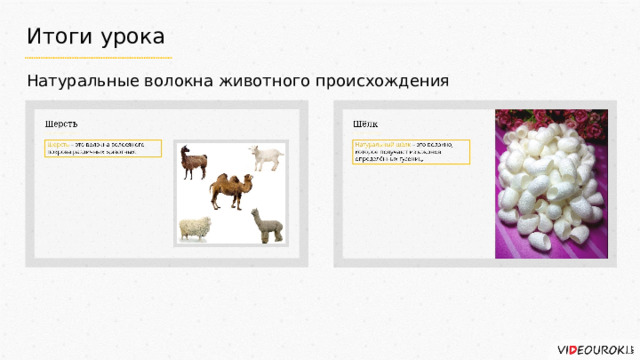 Итоги урока Натуральные волокна животного происхождения 