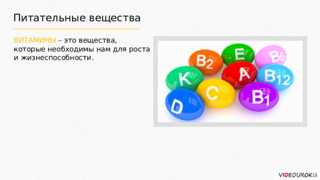 Питательные вещества ВИТАМИНЫ – это вещества, которые необходимы нам для роста и жизнеспособности. 