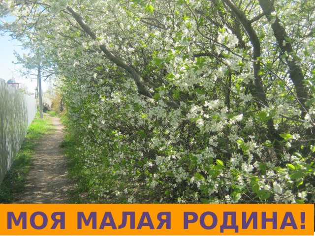 Моя малая Родина! 